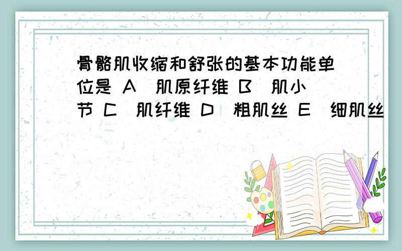 骨骼肌收缩和舒张的基本功能单位是 A．肌原纤维 B．肌小节 C．肌纤维 D．粗肌丝 E．细肌丝