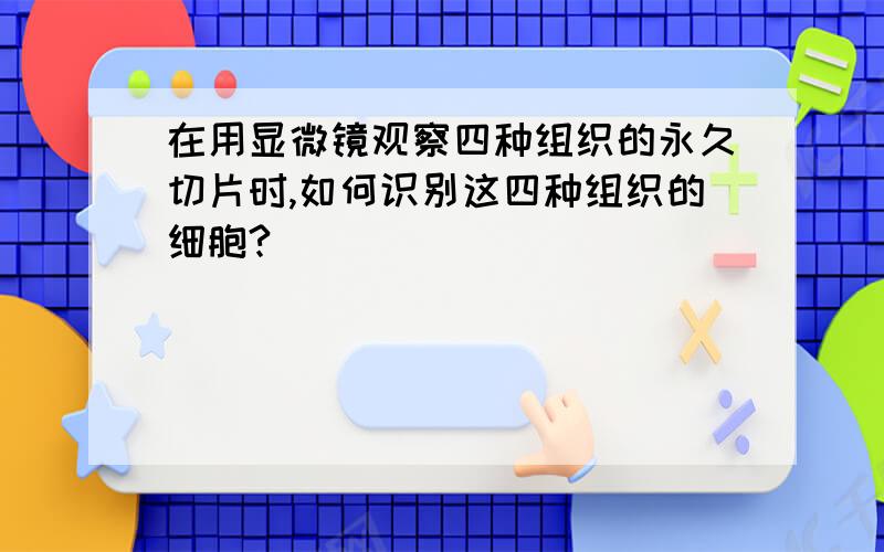 在用显微镜观察四种组织的永久切片时,如何识别这四种组织的细胞?