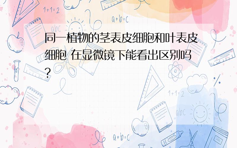 同一植物的茎表皮细胞和叶表皮细胞 在显微镜下能看出区别吗?