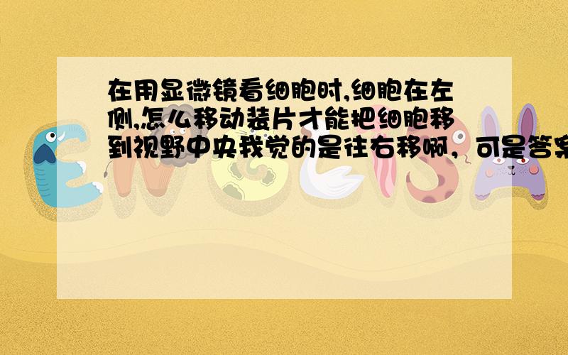 在用显微镜看细胞时,细胞在左侧,怎么移动装片才能把细胞移到视野中央我觉的是往右移啊，可是答案是往左。