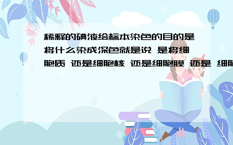 稀释的碘液给标本染色的目的是将什么染成深色就是说 是将细胞质 还是细胞核 还是细胞膜 还是 细胞壁?