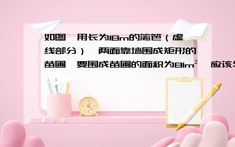 如图,用长为18m的篱笆（虚线部分）,两面靠墙围成矩形的苗圃,要围成苗圃的面积为81m²,应该怎么设计