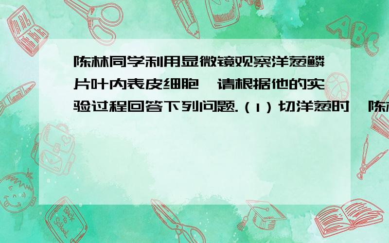 陈林同学利用显微镜观察洋葱鳞片叶内表皮细胞,请根据他的实验过程回答下列问题.（1）切洋葱时,陈林同学感到要流眼泪,原因是洋葱中含有刺激性物质,这些物质存在于洋葱细胞的 中.（2）