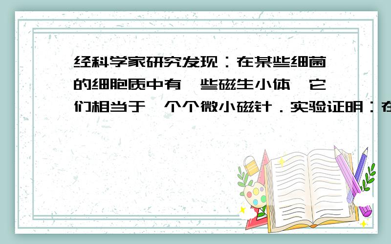 经科学家研究发现：在某些细菌的细胞质中有一些磁生小体,它们相当于一个个微小磁针．实验证明：在只有地磁场而没有其它磁场作用时,小水滴中的一些细菌会持续不断地向北游动,并聚集