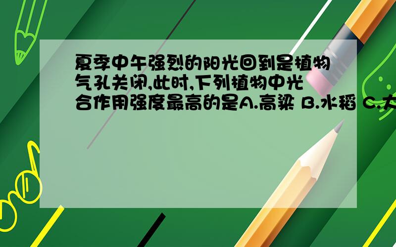 夏季中午强烈的阳光回到是植物气孔关闭,此时,下列植物中光合作用强度最高的是A.高粱 B.水稻 C.大豆 D.小麦