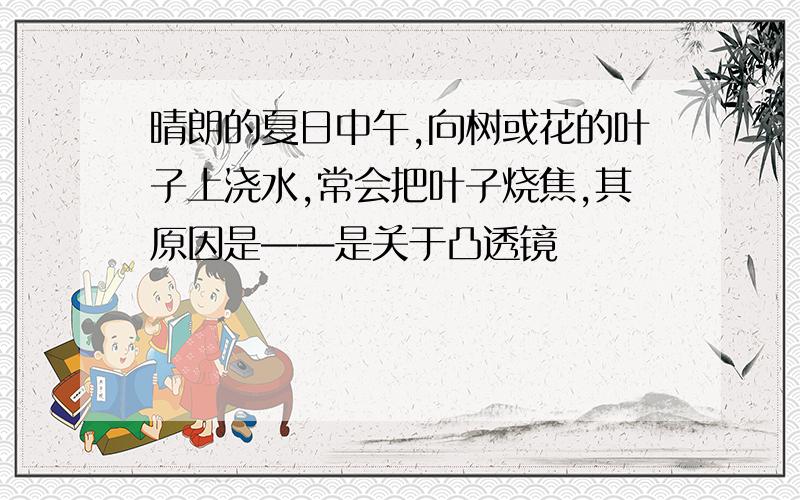 晴朗的夏日中午,向树或花的叶子上浇水,常会把叶子烧焦,其原因是——是关于凸透镜