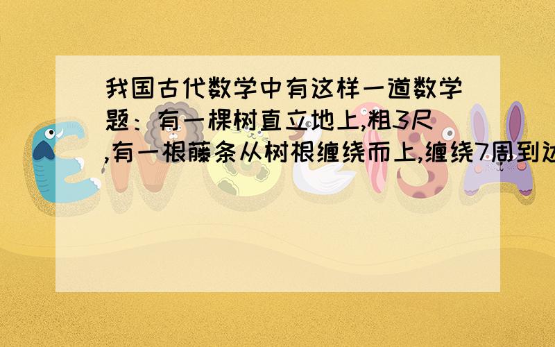 我国古代数学中有这样一道数学题：有一棵树直立地上,粗3尺,有一根藤条从树根缠绕而上,缠绕7周到达树顶,请问这根藤有多长?（注：枯树可以看成圆柱；树粗3尺,指的是：圆柱截面周长为3尺