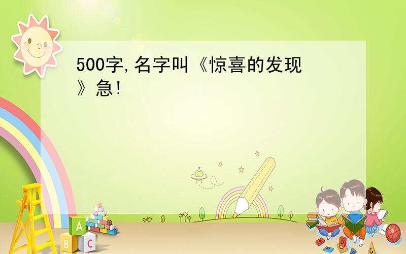 500字,名字叫《惊喜的发现》急!