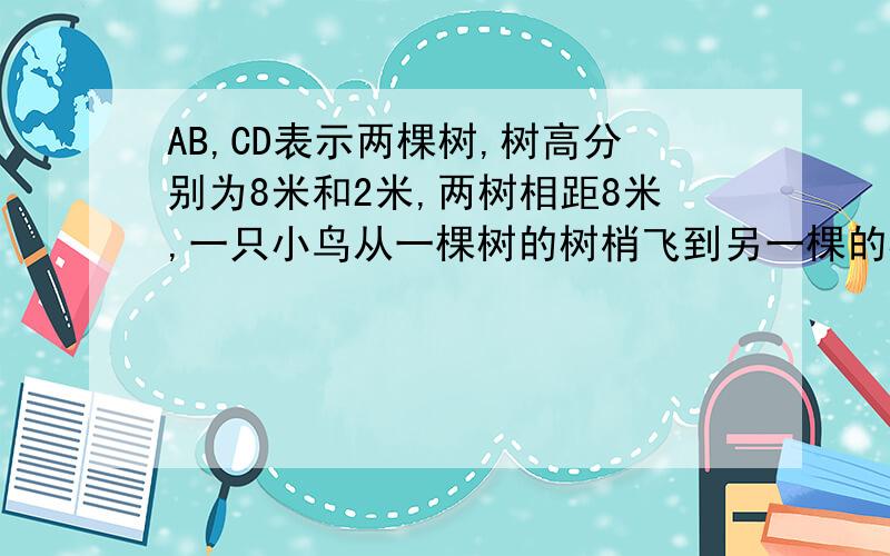 AB,CD表示两棵树,树高分别为8米和2米,两树相距8米,一只小鸟从一棵树的树梢飞到另一棵的树梢小鸟至少飞了多少米