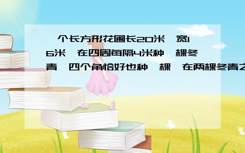 一个长方形花圃长20米,宽16米,在四周每隔4米种一棵冬青,四个角恰好也种一棵,在两棵冬青之间种3株月季花,一共种多少棵冬青和多少株月季?