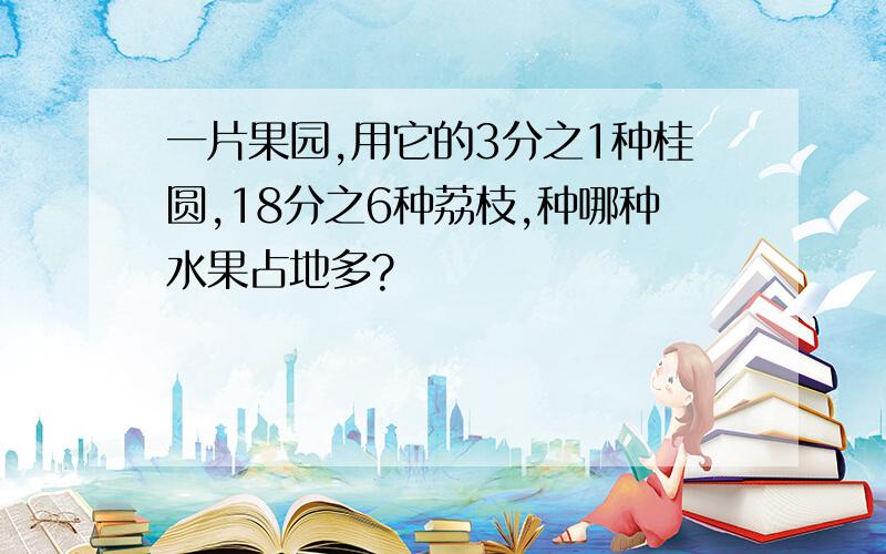 一片果园,用它的3分之1种桂圆,18分之6种荔枝,种哪种水果占地多?