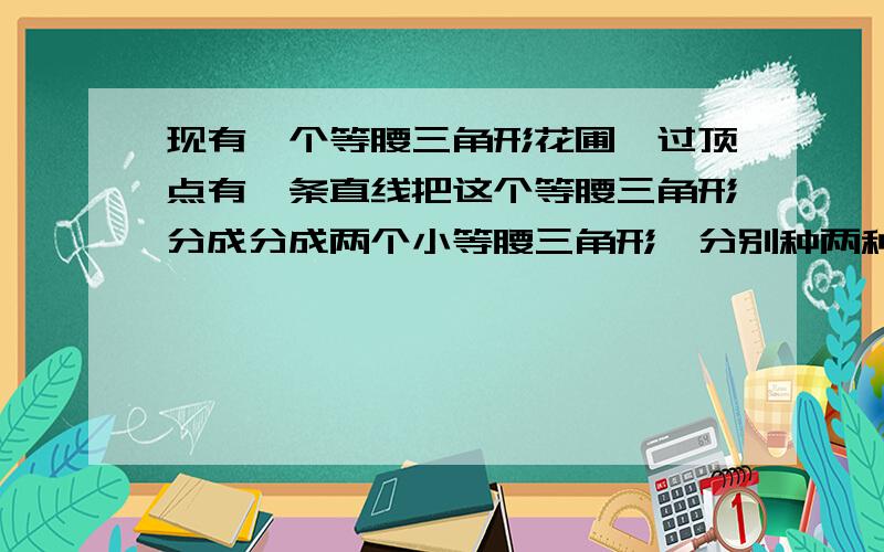 现有一个等腰三角形花圃,过顶点有一条直线把这个等腰三角形分成分成两个小等腰三角形,分别种两种不同颜 的花,请你计算一下,这个花圃的顶角是多少度.一个等腰三角形花圃，腰长为4米，