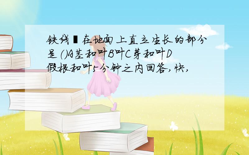 铁线蕨在地面上直立生长的部分是（)A茎和叶B叶C芽和叶D假根和叶5分钟之内回答,快,