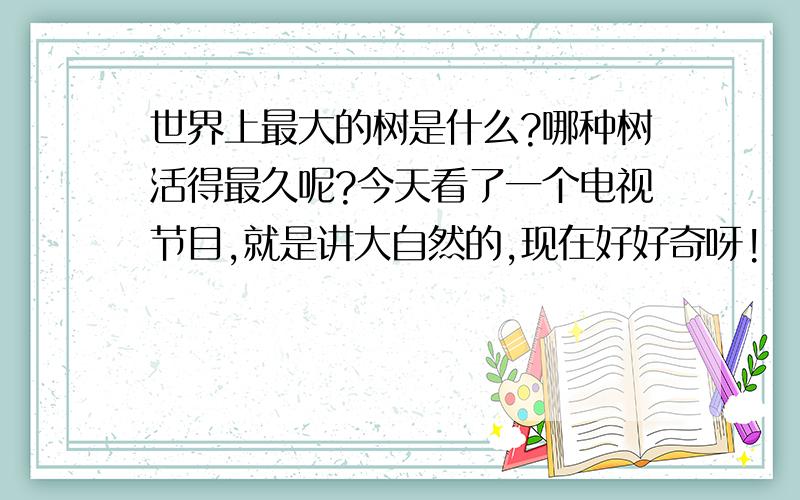 世界上最大的树是什么?哪种树活得最久呢?今天看了一个电视节目,就是讲大自然的,现在好好奇呀!