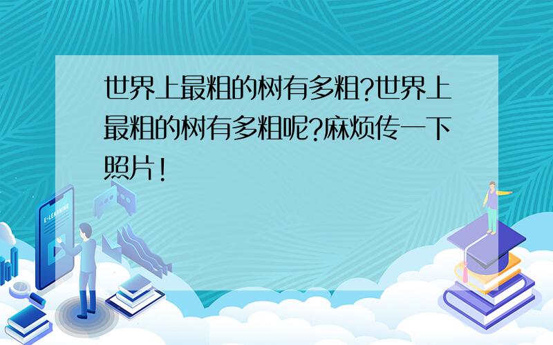 世界上最粗的树有多粗?世界上最粗的树有多粗呢?麻烦传一下照片!