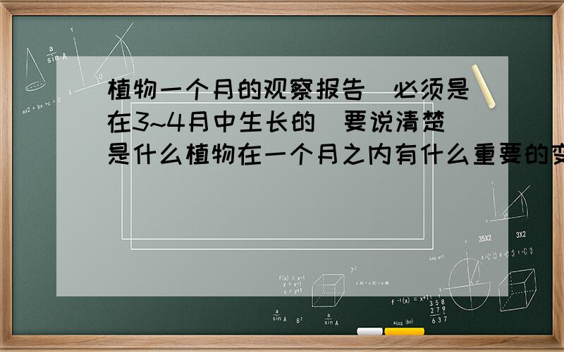 植物一个月的观察报告(必须是在3~4月中生长的)要说清楚是什么植物在一个月之内有什么重要的变化要明确地写出来记住!植物必须是在3～4月中的别乱搞 比如这个植物在什么时候应该有什么