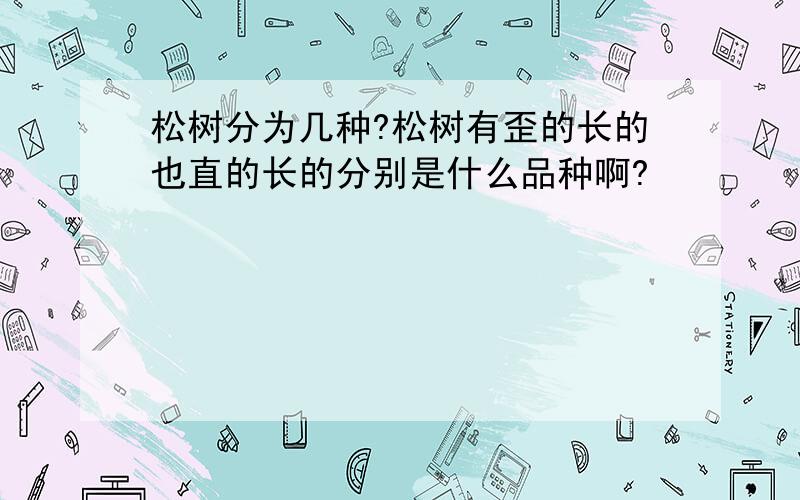 松树分为几种?松树有歪的长的也直的长的分别是什么品种啊?