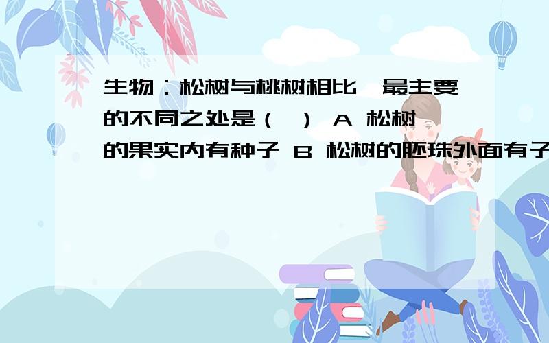 生物：松树与桃树相比,最主要的不同之处是（ ） A 松树的果实内有种子 B 松树的胚珠外面有子房壁保护着 C生物：松树与桃树相比,最主要的不同之处是（           ）A 松树的果实内有种子  B