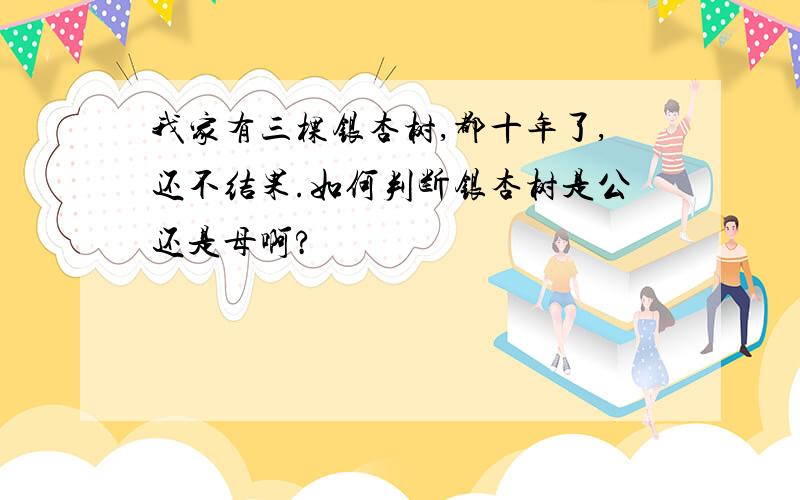 我家有三棵银杏树,都十年了,还不结果.如何判断银杏树是公还是母啊?