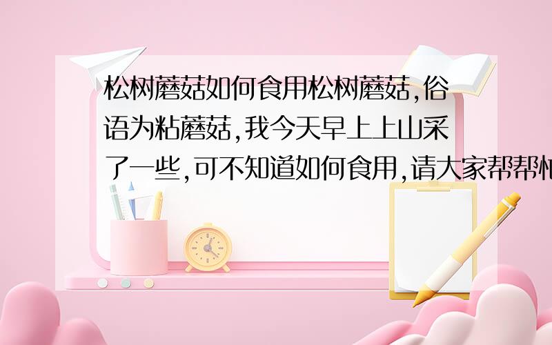 松树蘑菇如何食用松树蘑菇,俗语为粘蘑菇,我今天早上上山采了一些,可不知道如何食用,请大家帮帮忙!