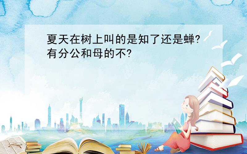 夏天在树上叫的是知了还是蝉?有分公和母的不?