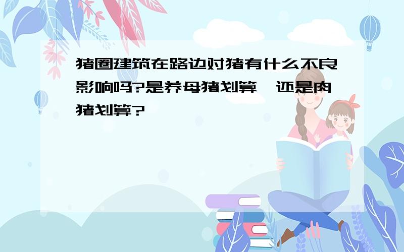 猪圈建筑在路边对猪有什么不良影响吗?是养母猪划算,还是肉猪划算?