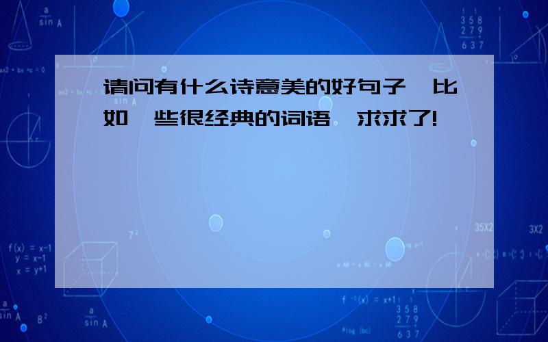 请问有什么诗意美的好句子,比如一些很经典的词语,求求了!