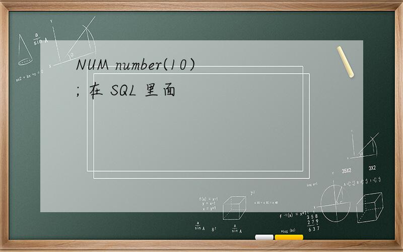 NUM number(10); 在 SQL 里面