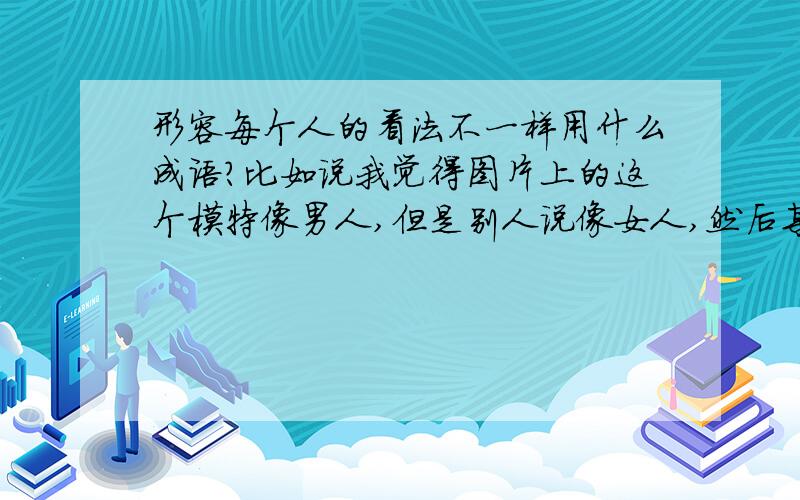 形容每个人的看法不一样用什么成语?比如说我觉得图片上的这个模特像男人,但是别人说像女人,然后某人回复说:人各有志.我肿么感觉这个成语不适合形容这件事呢?如果用“各抒己见”会不