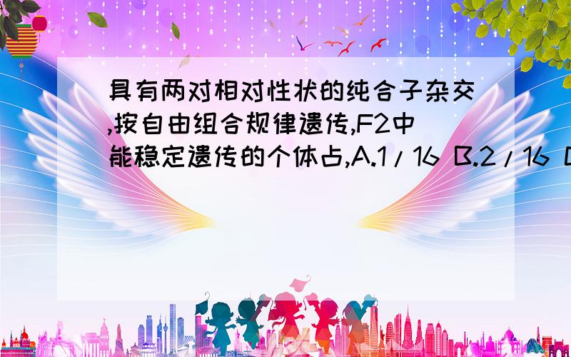 具有两对相对性状的纯合子杂交,按自由组合规律遗传,F2中能稳定遗传的个体占,A.1/16 B.2/16 C.3/16 D.4/16