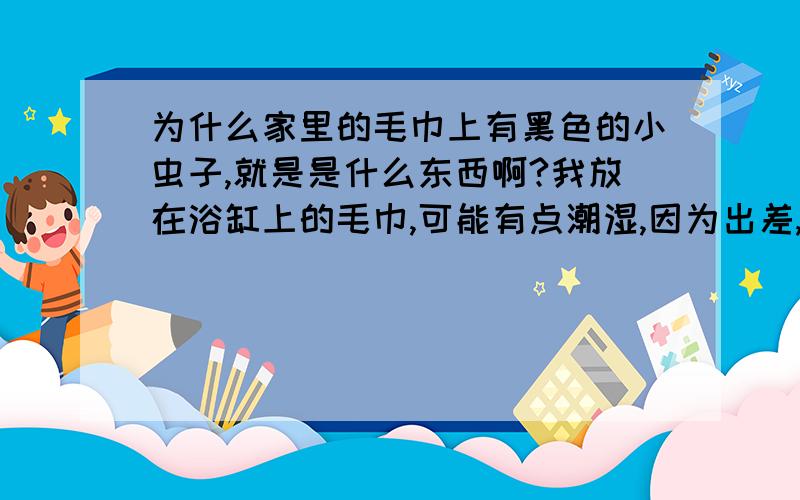 为什么家里的毛巾上有黑色的小虫子,就是是什么东西啊?我放在浴缸上的毛巾,可能有点潮湿,因为出差,几个星期回来后发现毛巾上都是黑色的小虫子,那是什么生物,