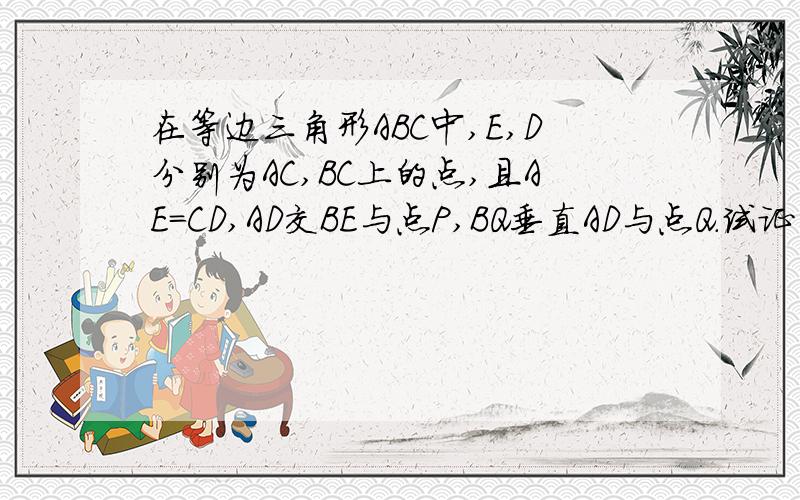 在等边三角形ABC中,E,D分别为AC,BC上的点,且AE=CD,AD交BE与点P,BQ垂直AD与点Q.试证明：BP=2PQ