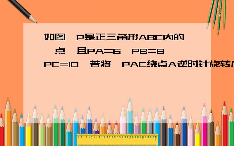 如图,P是正三角形ABC内的一点,且PA=6,PB=8,PC=10,若将△PAC绕点A逆时针旋转后,得到△P'AB.求（1）点P与点P'之间的距离；（2）∠APB的度数.