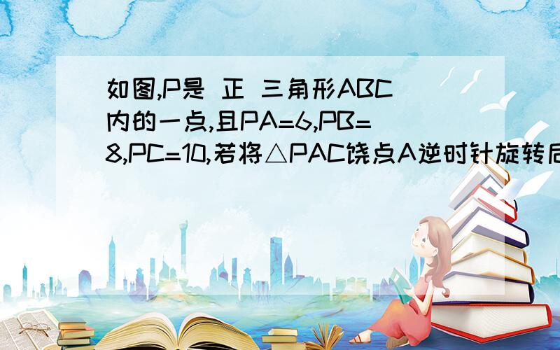 如图,P是 正 三角形ABC内的一点,且PA=6,PB=8,PC=10,若将△PAC饶点A逆时针旋转后,得到三角形P²AB问P与P²的距离,∠APB的度数