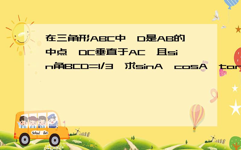 在三角形ABC中,D是AB的中点,DC垂直于AC,且sin角BCD=1/3,求sinA,cosA,tanA的值我要正确的!