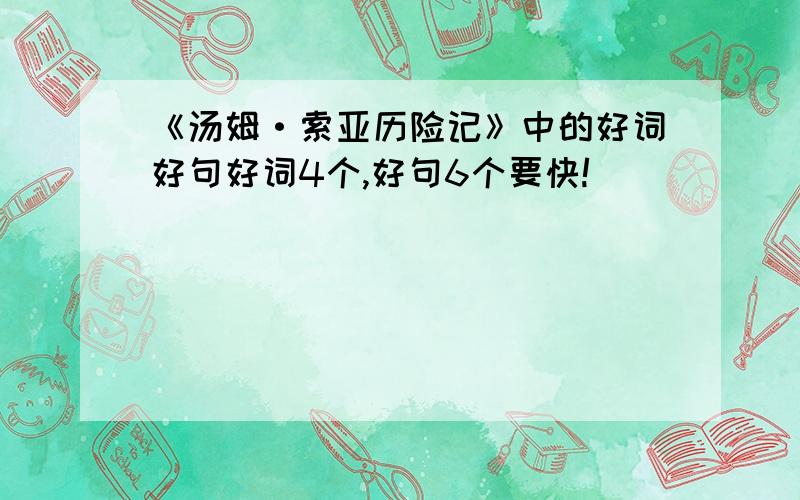 《汤姆·索亚历险记》中的好词好句好词4个,好句6个要快!