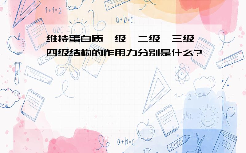 维持蛋白质一级、二级、三级、四级结构的作用力分别是什么?