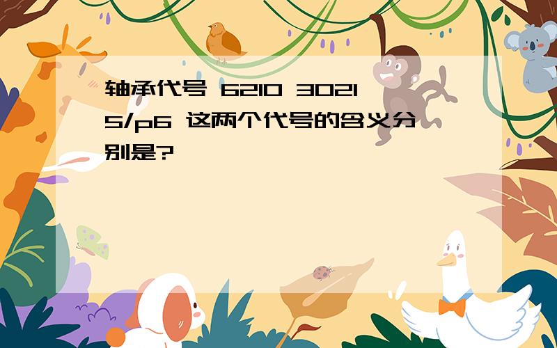 轴承代号 6210 30215/p6 这两个代号的含义分别是?