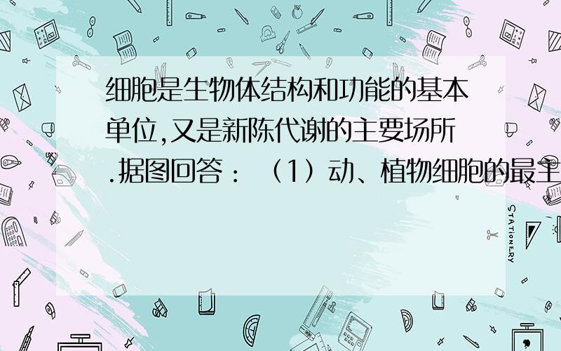 细胞是生物体结构和功能的基本单位,又是新陈代谢的主要场所.据图回答： （1）动、植物细胞的最主要区别是看其有无              .以上4个图中属于原核细胞的是      ,能进行光合作用的是