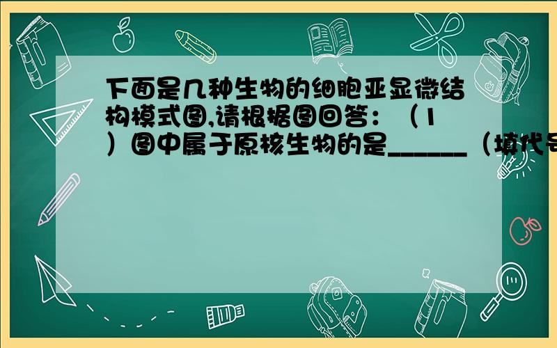 下面是几种生物的细胞亚显微结构模式图,请根据图回答：（1）图中属于原核生物的是______（填代号）,能进行光合作用的是______（填代号）.（2）以上细胞机构必须在______显微镜下才能关擦.