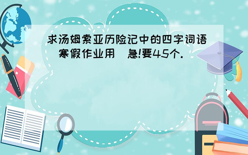 求汤姆索亚历险记中的四字词语（寒假作业用）急!要45个.