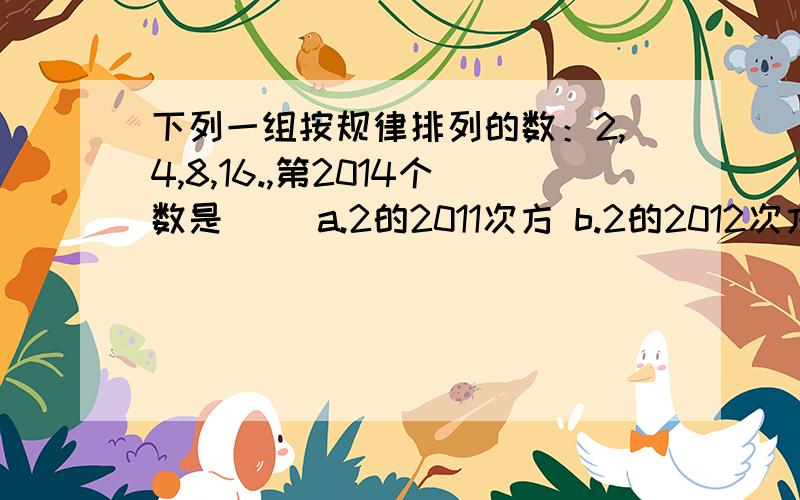 下列一组按规律排列的数：2,4,8,16.,第2014个数是() a.2的2011次方 b.2的2012次方 c.2的2013次方d.2的2014次方