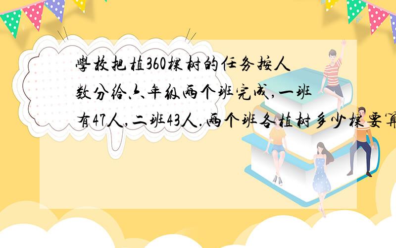 学校把植360棵树的任务按人数分给六年级两个班完成,一班有47人,二班43人.两个班各植树多少棵要算式