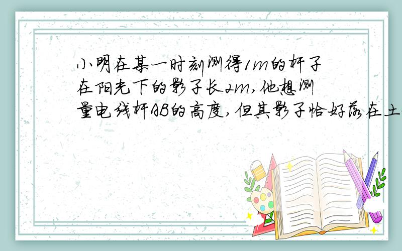 小明在某一时刻测得1m的杆子在阳光下的影子长2m,他想测量电线杆AB的高度,但其影子恰好落在土坡的坡面CD和地面BC上,量得CD=2m,BC=10m,CD与地面成45°,求电线杆的高度.