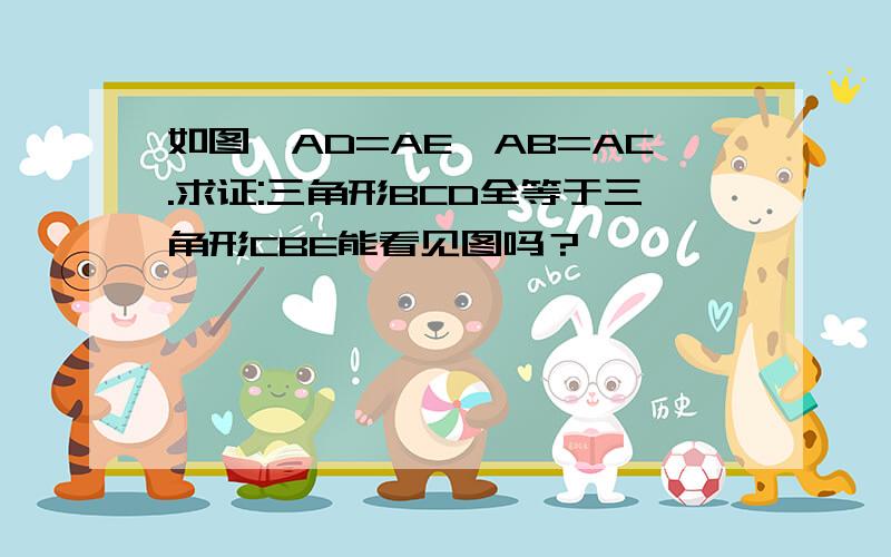 如图,AD=AE,AB=AC.求证:三角形BCD全等于三角形CBE能看见图吗？