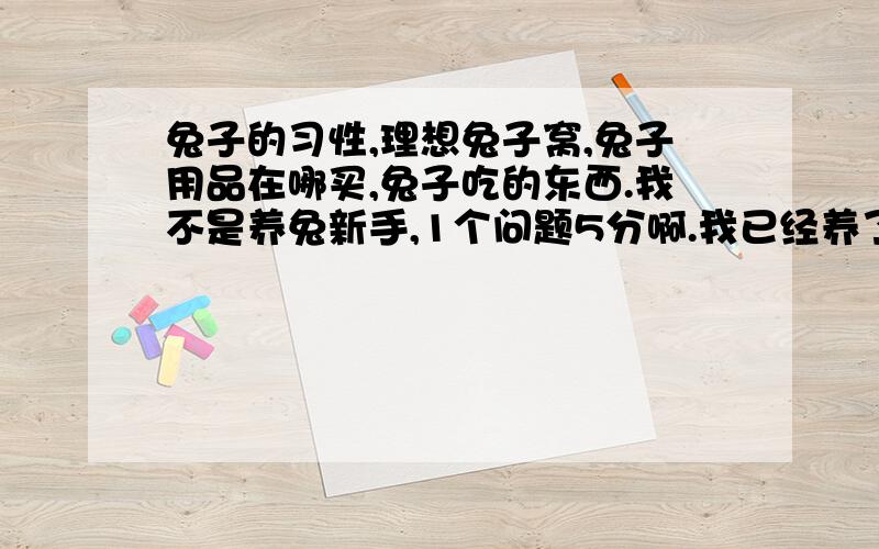 兔子的习性,理想兔子窝,兔子用品在哪买,兔子吃的东西.我不是养兔新手,1个问题5分啊.我已经养了,不觉得脏,你玩完了,没分（1楼）,回答问题（2楼）,太简单（3楼）,废话,不过是最好的了,再等