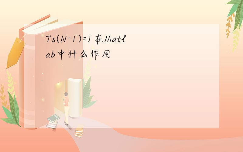 Ts(N-1)=1在Matlab中什么作用