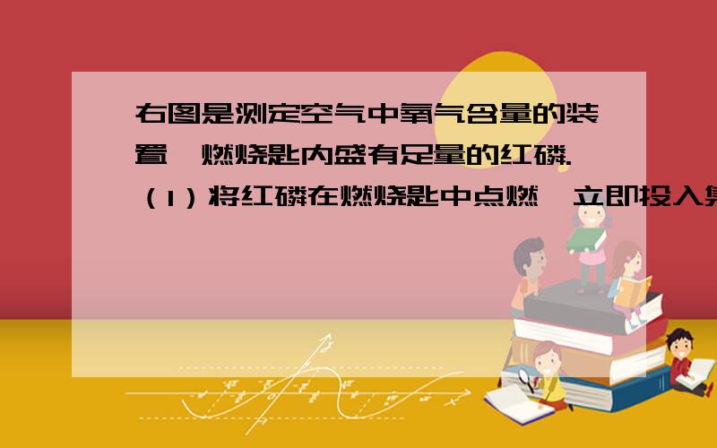 右图是测定空气中氧气含量的装置,燃烧匙内盛有足量的红磷.（1）将红磷在燃烧匙中点燃,立即投入集气瓶中,并将瓶塞塞紧.观察到红磷燃烧的现象是 ）（2）待红磷冷却后,打开弹簧夹,观察实