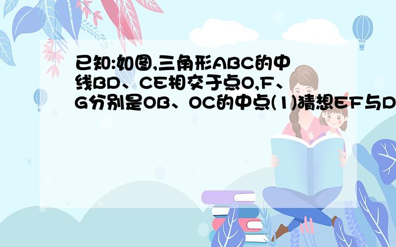 已知:如图,三角形ABC的中线BD、CE相交于点O,F、G分别是OB、OC的中点(1)猜想EF与DG有怎样的数量关系和位?已知：如图,三角形ABC的中线BD、CE相交于点O,F、G分别是OB、OC的中点（1）猜想EF与DG有怎样