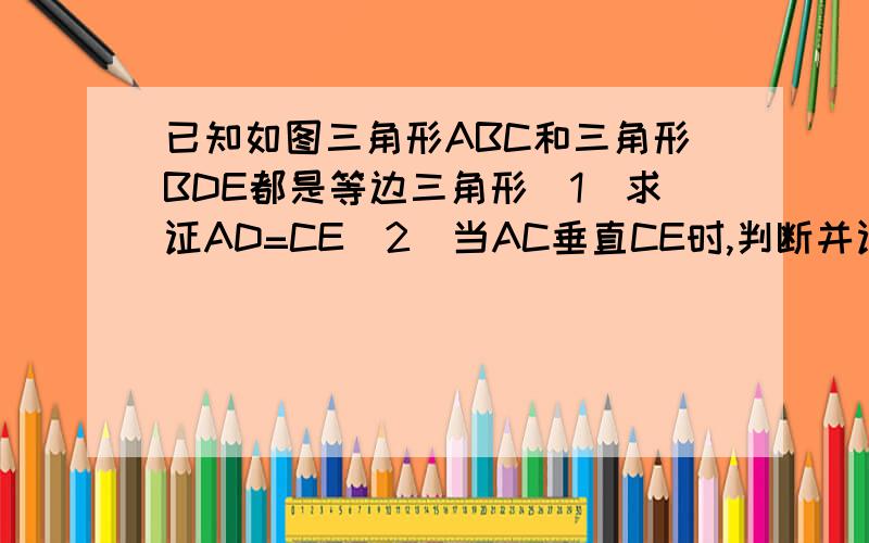 已知如图三角形ABC和三角形BDE都是等边三角形(1)求证AD=CE(2)当AC垂直CE时,判断并证明AB与BE的数量关系.